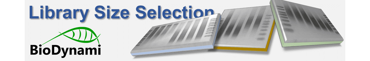 BioDynami size selection2
